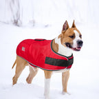 BEAUTYZOO Dog Winter Coat for Large Dogs Waterproof, Warm Reflective Great Dane Oxford Canvas Jacket, Fleece Dog Cold Weather Coats Windproof for Female Male Dogs, Red L