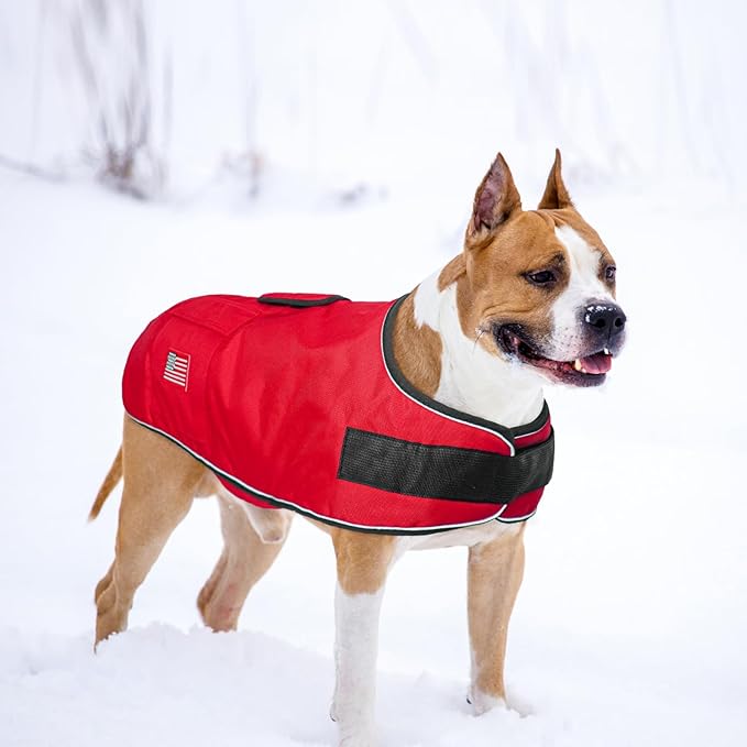 BEAUTYZOO Dog Winter Coat for Large Dogs Waterproof, Warm Reflective Great Dane Oxford Canvas Jacket, Fleece Dog Cold Weather Coats Windproof for Female Male Dogs, Red L