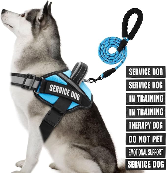 Service Dog Vest Harness and Leash Set, Animire in Training Dog Harness with 10 Dog Patches, Reflective Dog Leash with Soft Padded Handle for Small, Medium, Large, and Extra-Large Dogs (Light Blue,XL)