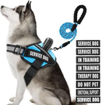 Service Dog Vest Harness and Leash Set, Animire in Training Dog Harness with 10 Dog Patches, Reflective Dog Leash with Soft Padded Handle for Small, Medium, Large, and Extra-Large Dogs (Light Blue,XL)