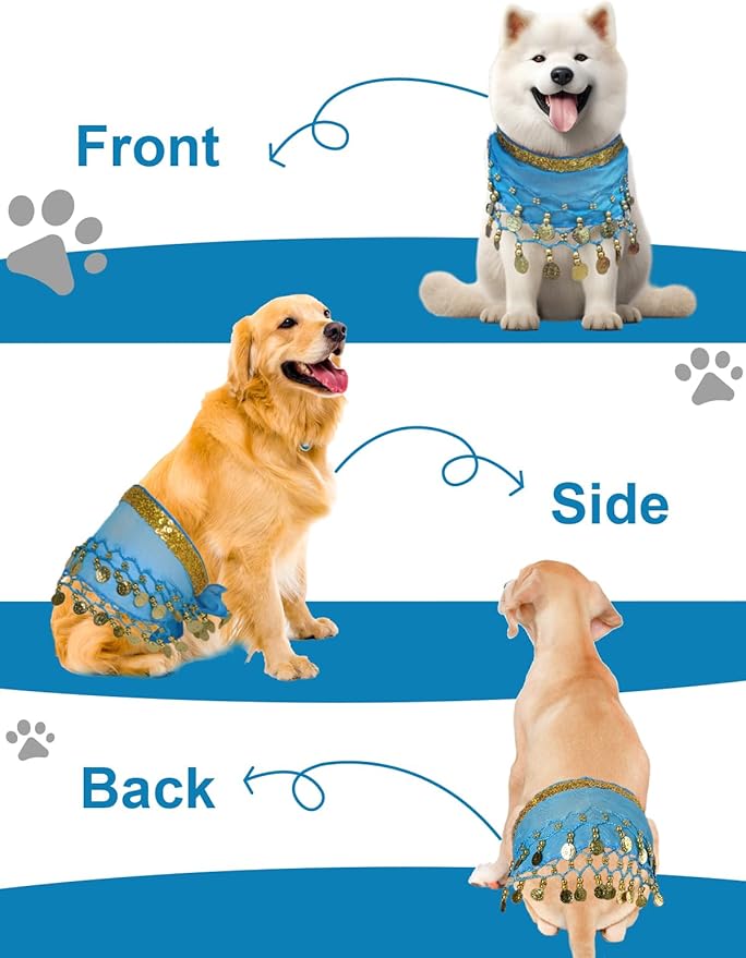 Dog Belly Dancer Costume - Puppy Outfit with Sequin Waist Chain & Hip-Shaking Skirt - Ideal for Corgi and Puppy Birthday Parties or Halloween Celebrations(Small,Lake Blue)
