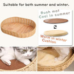 Wood Cat Tree for Large Cats, Modern Cat Tree Tower with Wide Shelves Cotton Scratching Posts, Super Sturdy Base, Cozy Perches, and Interactive Toys for Indoor Kittens 31-Inch
