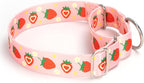 Pink Strawberry Martingale Collar for Dogs, Heavy Duty Adjustable Soft Nylon Dog Collars with for Medium & Large XL Dogs (Pink Strawberry,L)