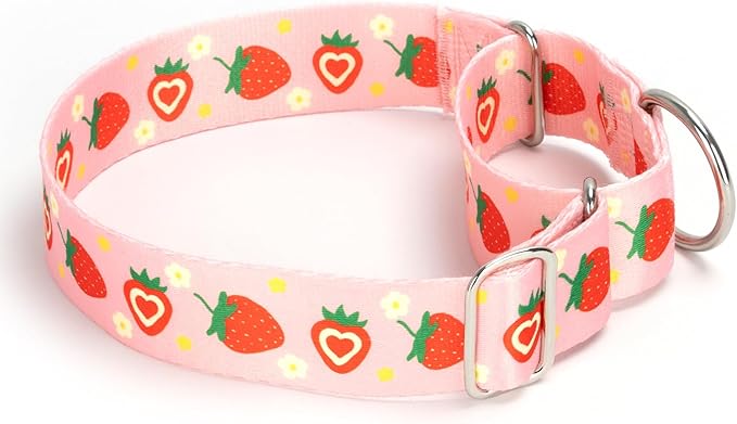Pink Strawberry Martingale Collar for Dogs, Heavy Duty Adjustable Soft Nylon Dog Collars with for Medium & Large XL Dogs (Pink Strawberry,M)