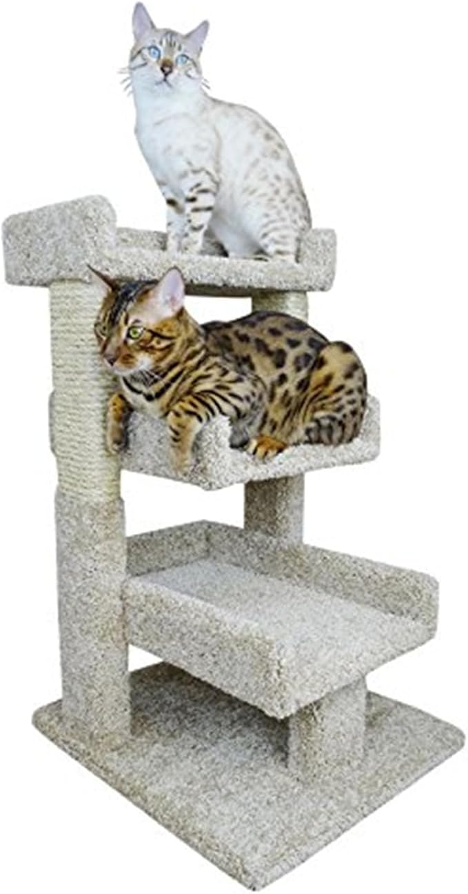 Maykoosh Cat Tree Condo Perch Tower - Solid Wood & Plush Carpet, 20x20x33 Inch
