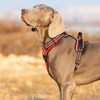 TRUE LOVE Dog Harness No Pull Nylon Reflective Pet Harness Adjustable Comfortable Control Step-in Brilliant Colors Truelove TLH56512 Red