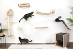 Catastrophic Creations Cat Bridge 50" Wall-Mounted Cat Play and Lounge Bridge - Ideal Climbing Toy and Cat Tree Alternative for Pets