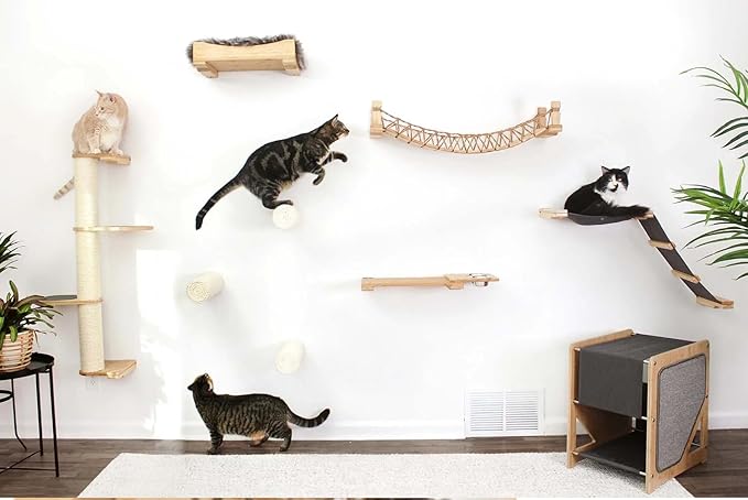 Catastrophic Creations Cat Bridge 50" Wall-Mounted Cat Play and Lounge Bridge - Ideal Climbing Toy and Cat Tree Alternative for Pets