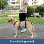 Coodeo Dog Lift Harness, Full Body Support & Recovery Sling, Pet Rehabilitation Lifts Vest for Old Dog with Arthritis Walk(Bule,XL)