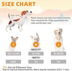 KOOLTAIL Martingale Collar for Dogs for Small Medium Large Dogs, Soft Padded Nylon No Pull Dog Collar with Buckle, Adjustable No Slip Heavy Duty Durable Puppy Training Collar for Boys Girls, Orange M