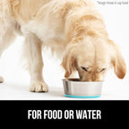 GORILLA GRIP Dog Bowl, Holds 6 Cups (48 fl oz), Food Grade 304 Stainless Steel Food and Water Bowl for Feeding Dogs and Cats, BPA Free Rubber Base, Easy Clean, Dishwasher Safe,Rust Resistant Turquoise