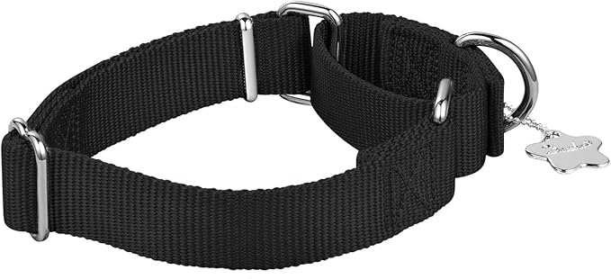Martingale Dog Collar, No-Buckle Escape-Proof Design, Heavy-Duty Nylon and Welded D-Ring, Adjustable Training Collar for Medium Large Dogs (Classic Black, L)