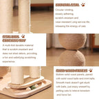 3-in-1 Small Cat Tree Tower, Small Cat Tower and Perch Bed, 16.5Inch Tall Cat Tree with 3 Sisal Scratching Posts and Ball Track Toy for Kittens and Indoor Cats