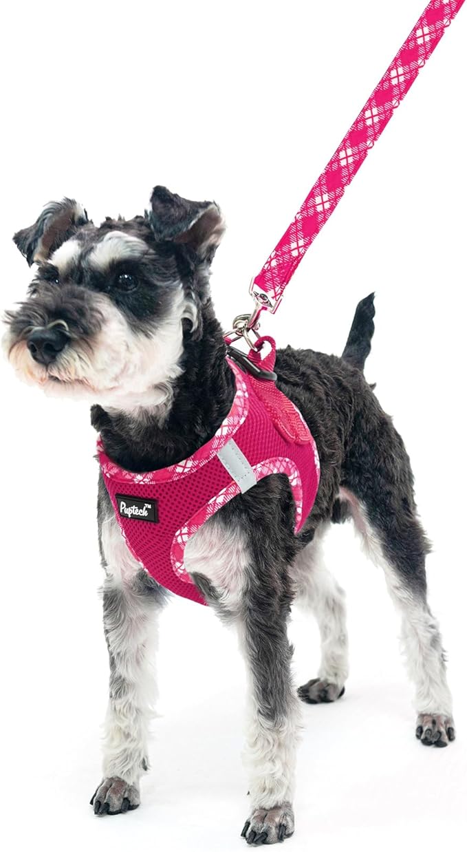 PUPTECK Dog Harness and Leash Set for Small Medium Dogs No Pull Step-in Soft Mesh Puppy Cat Vest Harnesses Reflective at Night, Fuchsia, M