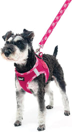 PUPTECK Dog Harness and Leash Set for Small Medium Dogs No Pull Step-in Soft Mesh Puppy Cat Vest Harnesses Reflective at Night, Fuchsia, XS
