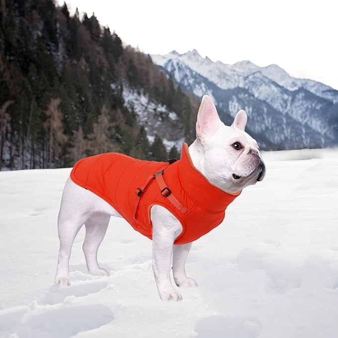 Geyecete Winter Warm Coat Waterproof Dog Winter Jacket with Harness Traction Belt,Windproof Pet Outdoor Jacket Dog Autumn-Orange-XXL