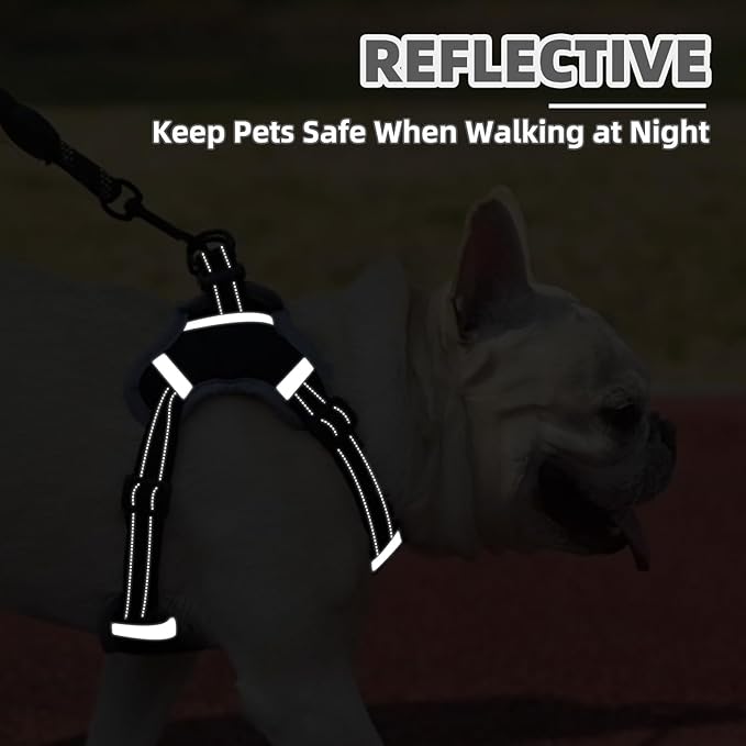 PUPTECK No Pull Dog Harness Small Medium Sized Dog, Adjustable Reflective Escape Proof Easy Control, Comfortable Soft Padded Step in Pet Vest Harness, Black, M