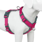 Plutus Pet No Pull Dog Harness, Adjustable Nylon Harness with Soft Padding, Reflective and Heavy Duty Dog Harness for Small, Medium, Large Dogs(Hot Pink, S)