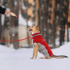Lelepet Dog Coat Warm Dog Winter Coat Waterproof Dogs Jacket with Harness Built in Reflective Pet Fleece Vest Zip-Up Cold Weather Coats for Extra Large Dogs Turtleneck & Windproof Coats Great Dane 3XL