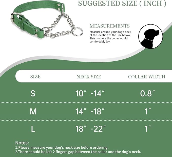 Martingale Collar for Dogs No-Pull Adjustable Training Collar with Stainless Steel Chain - Genuine Leather Anti-Slip Design for Small,Medium,Large Breed Dogs - Green (M)