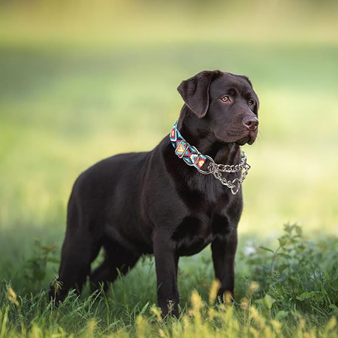 Choke Collar for Dogs,Martingale Collar for Dogs,No Pull Dog Collar for Large Dogs,Training Escape Proof Heavy Duty Dog Dog Collar for Medium Large Pet Boy Male Dogs,Aztec XL