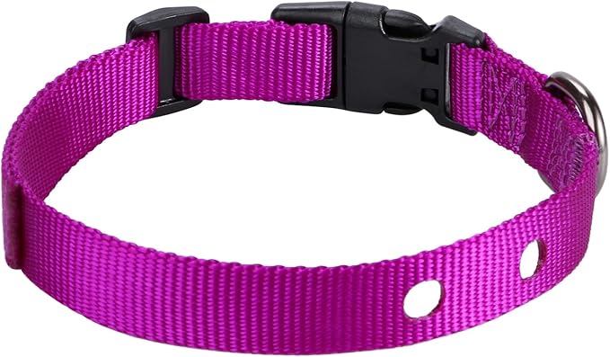3/4 Inch Dog Shock Collar Replacement Strap with 2 Holes - Compatible with Most Brands of Ecollar Dog Fences and Training Collars, Purple