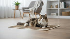 Premium Brazilian Cat Scratcher Mat – 24'' x 16'' Natural Fiber 100% Sisal with Jute Border, Ultra Durable, Scratching Pad, Doormat Rug, Protects Furniture and Carpets (Espresso Brown)