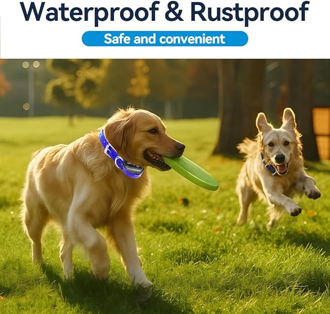 27 ½” X ¾” Replacement Dog Collar Strap Band w/Double Buckle Loop 2-Pack - All Brands Pet Training Bark, Shock, e-Collars and Fences. Variety of Bold Standard Colors & Reflective Choices.