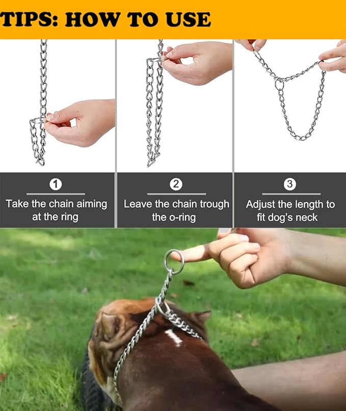 Freezx Dog Choke Collar Slip P Chain,Heavy Duty Metal Training Choke Collars, Adjustable Weather Proof Alloy Steel Chains for Small Medium Large Dogs (2XL, Diameter-4mm)