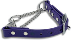 Martingale Collar for Dogs, Biothane, Stainless Steel Hardware, No Pull, Made in The USA, Professional Grade, XS, Purple