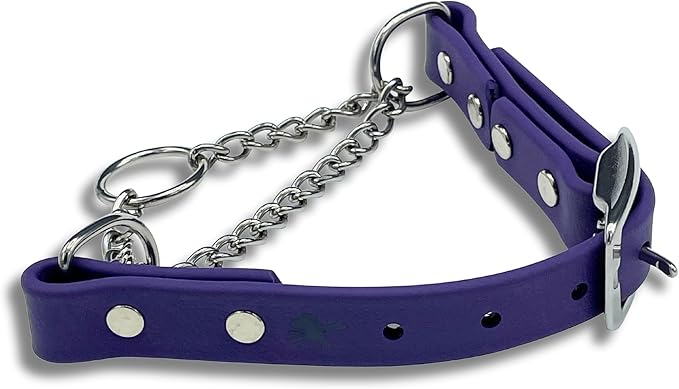 Martingale Collar for Dogs, Biothane, Stainless Steel Hardware, No Pull, Made in The USA, Professional Grade, Large, Purple