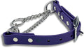 Martingale Collar for Dogs, Biothane, Stainless Steel Hardware, No Pull, Made in The USA, Professional Grade, Small, Purple