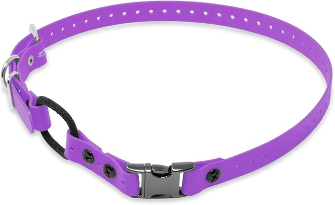 Educator 3/4-Inch Dog Training Collar Strap–ONLY Fits ME-300, ET-300/400, EZ-900, PE-900 & PG-300 Receivers – NOT Compatible with FE-580, ET-800 or UL-1200–Quick Snap Biothane Bungee Collar, Purple