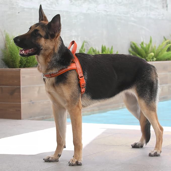 Plutus Pet No Pull Dog Harness with Breathable Mesh Padded, Adjustable Reflective Escape Proof Dog Harness, Quick Fit Dog Vest Harness for Small Medium Large Dogs(L, Orange)