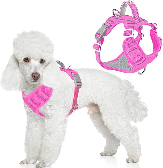 BARKBAY Dog Harness No Pull Oxford with ID Tag Pocket - Heavy Duty, Reflective, Easy Control for Large Dogs(Pink Oxford,XS)