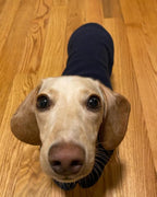 Gooby Fleece Vest Dog Sweater - Navy, Medium - Warm Pullover Fleece Dog Jacket with O-Ring Leash for Small to Medium Dogs