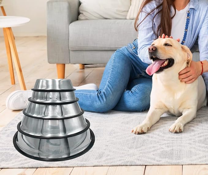 2 Pack Stainless Steel Dog Bowls with Rubber Bottom, Anti-Slip Heavy Duty Premium Quality Pets Feeder Bowls for Dogs and Cats and More (1½Cup / 10oz)