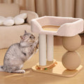 3-in-1 Small Cat Tree Tower, Small Cat Tower and Perch Bed, 16.5Inch Tall Cat Tree with 3 Sisal Scratching Posts and Ball Track Toy for Kittens and Indoor Cats