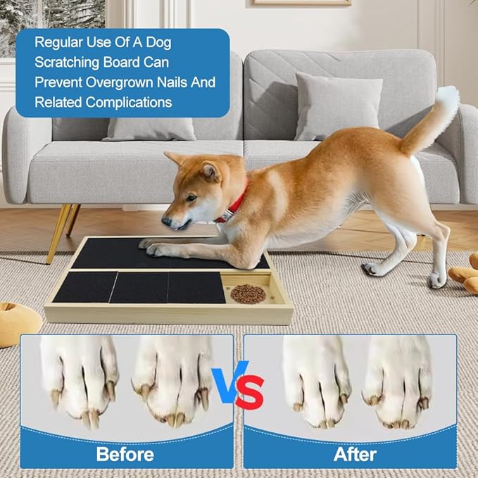 Dog Nail Scratch Pad with Treat Box, Jaxbo Durable Portable Dog Scratch Filing Pad for All Dogs, Wooden Cat Nail Scraper Board for Indoor/Outdoor Training