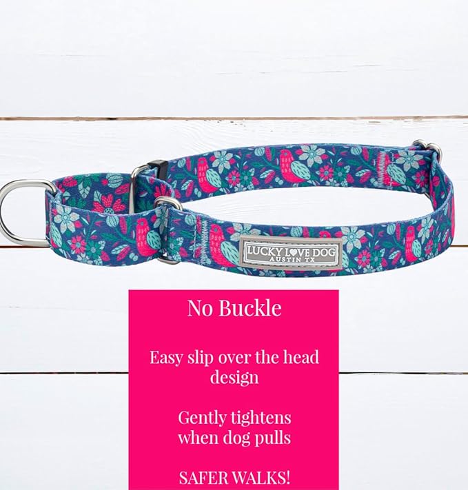 Lucky Love Dog Martingale Dog Collar - Adjustable, No-Slip, Comfortable, Durable, Soft Webbing & Stylish Patterned Collar for Male and Female Dogs Ideal for Training & Walking - Carriebelle, Small