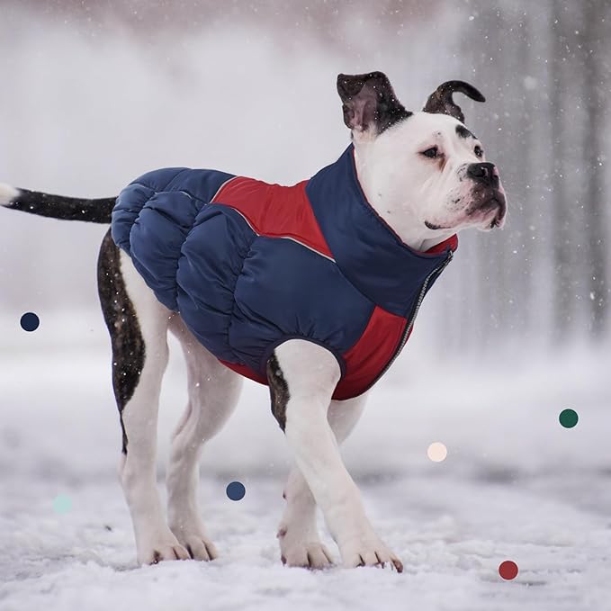 IECOii XXL Dog Snow Jacket - Extra Large Waterproof Fleece Lined Jacket with Reflective Turtleneck