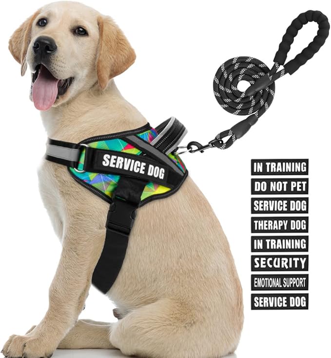 Service Dog Vest Harness and Leash Set, Animire in Training Dog Harness with 10 Dog Patches, Reflective Dog Leash with Soft Handle for Small, Medium, Large, and Extra-Large Dogs (Multi-Colored,L)