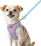 rabbitgoo Dog Harness Small Sized and Leash Set, Step-in Breathable Pet Harness, Soft Walking Reflective Puppy Vest for Small Dogs, Pink & Light Blue, XXS
