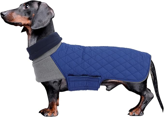 Geyecete Dachshund Coat,Dachshund Winter Coat,Warm Dachshund Coat Waterproof Windproof, High Neckine String Holes Miniature Dachshund Jacket for Small Dog-Blue-S