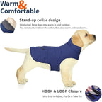 Dog Coat, Waterproof Dog Winter Jacket with Pocket, Reflective Adjustable Pet Snow Vest, Warm Cozy Fleece Sweater for Small Medium Extra Large Dogs - Blue, XS