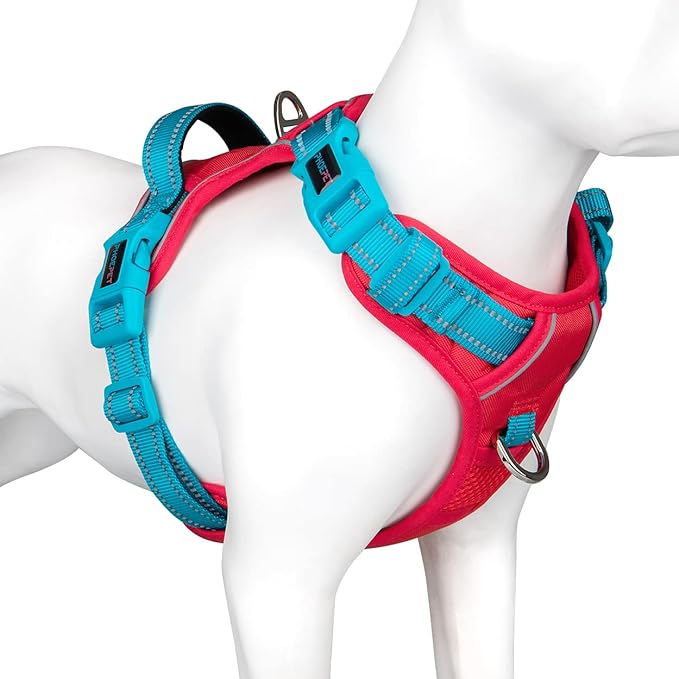 PHOEPET No Pull Dog Harness, Unique Colors Reflective Adjustable Dog Vest, with Soft Training Handle Metal Clips for Small Medium Large Dogs (Red Base & Teal Straps,XL)