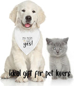 Dog Wedding Engagement Bandana Apparel & Accessories Pet Bandana Scarf Photo Prop My MOM Said yes! Wedding Outfit Funny Engagement Party Decorations Gifts