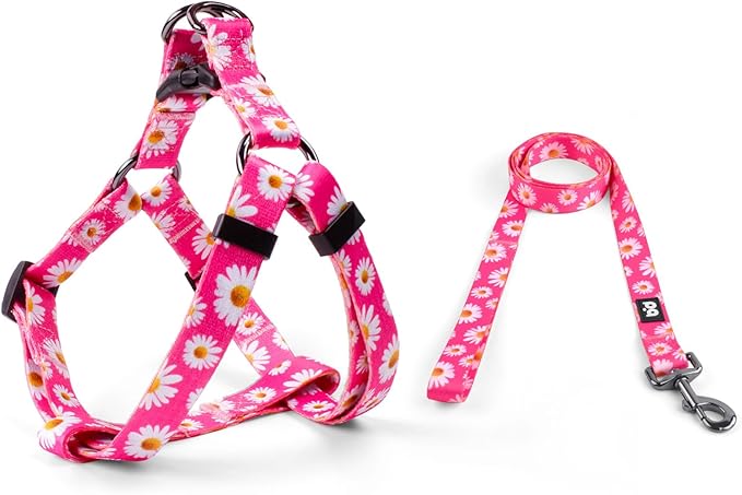 QQPETS Dog Harness Leash Set Adjustable Heavy Duty No Pull Halter Harnesses for Small Medium Large Breed Dogs Back Clip Anti-Twist Perfect for Walking (XS(12"-18" Chest Girth), Daisy)
