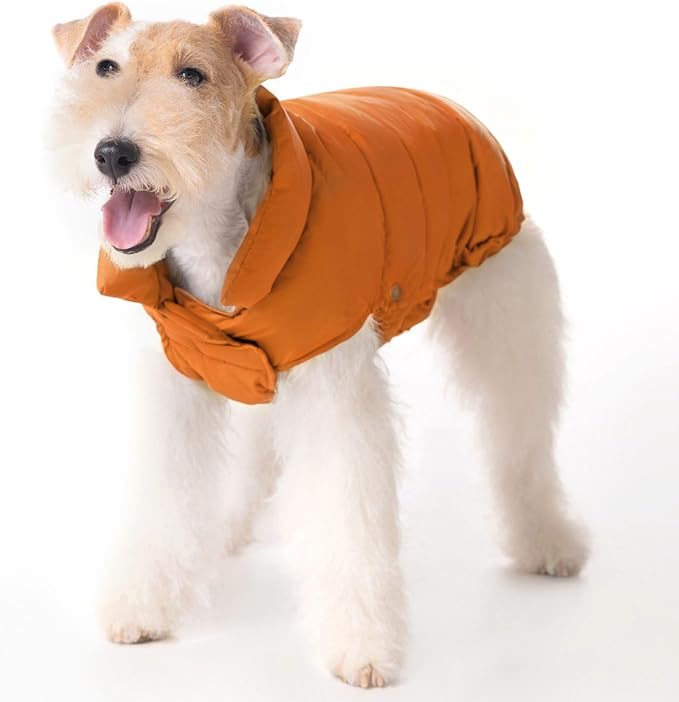 SPACE LION Dog Puffer Jacket, Down Winter Coat, Durable Outdoor Coat for Cold and Windy Conditions, Lightweight & Adjustable Fit Coats for Small & Medium Dogs, (Orange, Size 12 Gift Box)