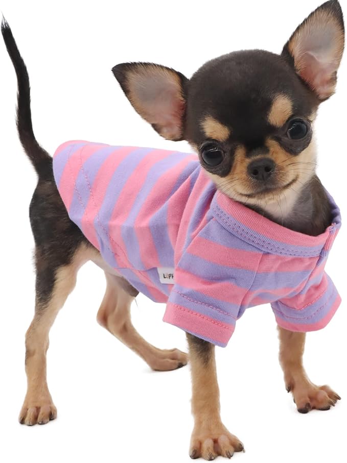 LOPHIPETS 100% Breathable Cotton Striped Dog Tee Shirt T-Shirt for Small Dogs Teacup Chihuahua Yorkie Puppy Clothes -Purple and Pink Strips/XXS